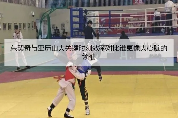 东契奇与亚历山大关键时刻效率对比谁更像大心脏的领袖